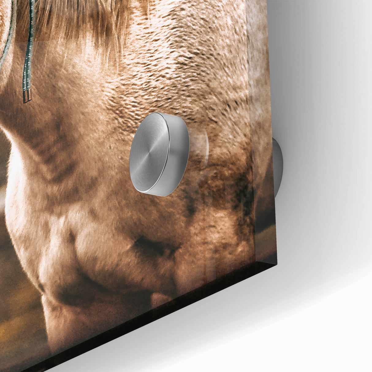 Vintage Farmhouse Wall Art - Majestic Horse in Rustic Country Scene