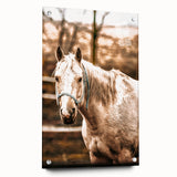 Vintage Farmhouse Wall Art - Majestic Horse in Rustic Country Scene