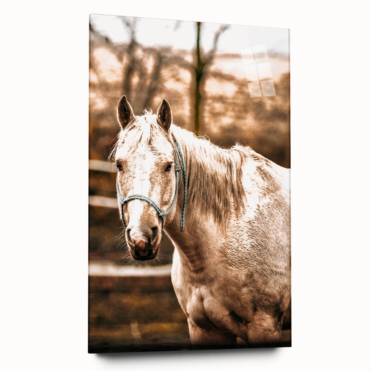 Vintage Farmhouse Wall Art - Majestic Horse in Rustic Country Scene