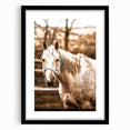 Vintage Farmhouse Wall Art - Majestic Horse in Rustic Country Scene