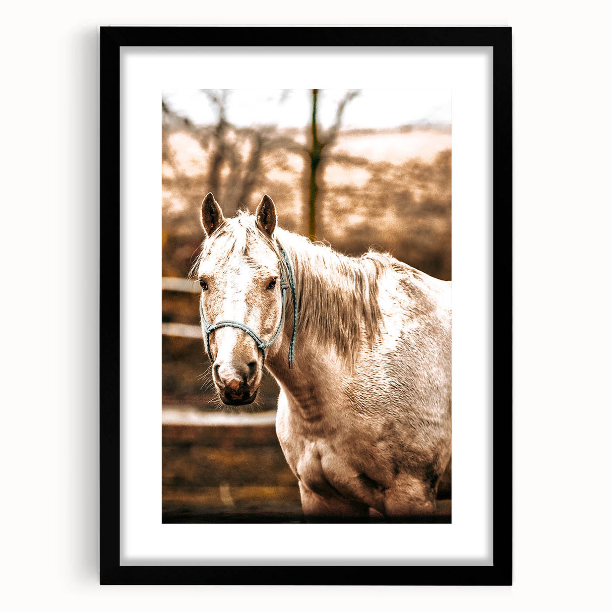 Vintage Farmhouse Wall Art - Majestic Horse in Rustic Country Scene