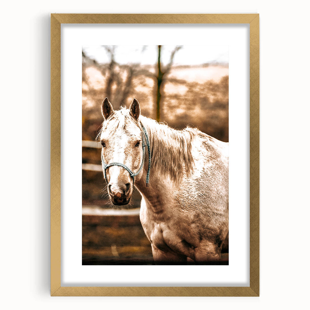 Vintage Farmhouse Wall Art - Majestic Horse in Rustic Country Scene