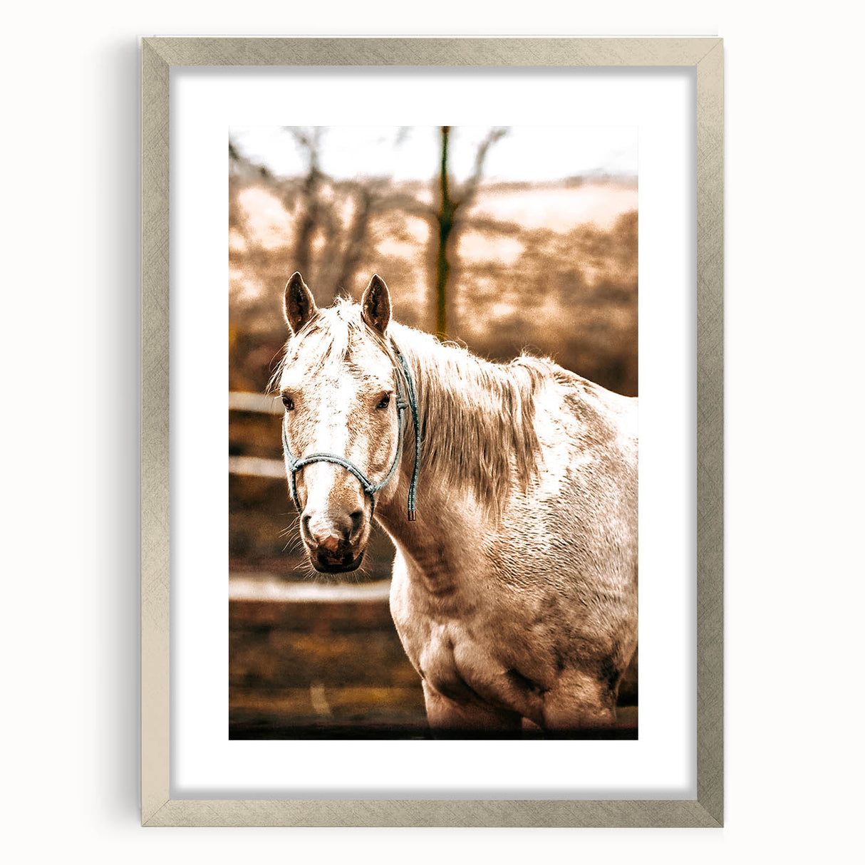Vintage Farmhouse Wall Art - Majestic Horse in Rustic Country Scene