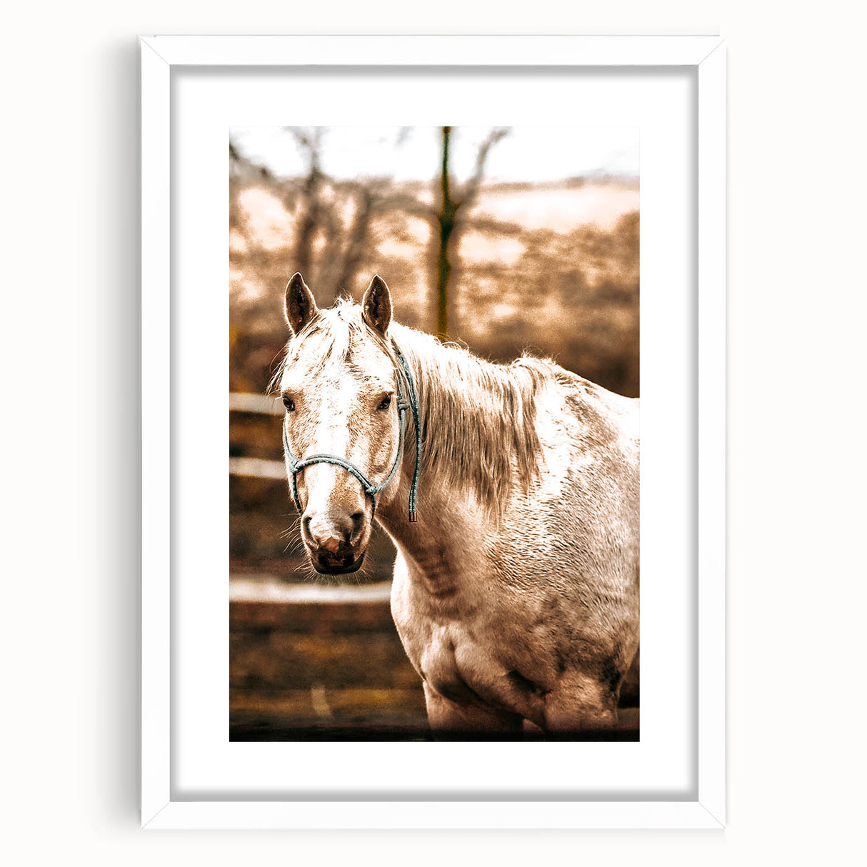 Vintage Farmhouse Wall Art - Majestic Horse in Rustic Country Scene