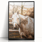 Vintage Farmhouse Wall Art - Majestic Horse in Rustic Country Scene