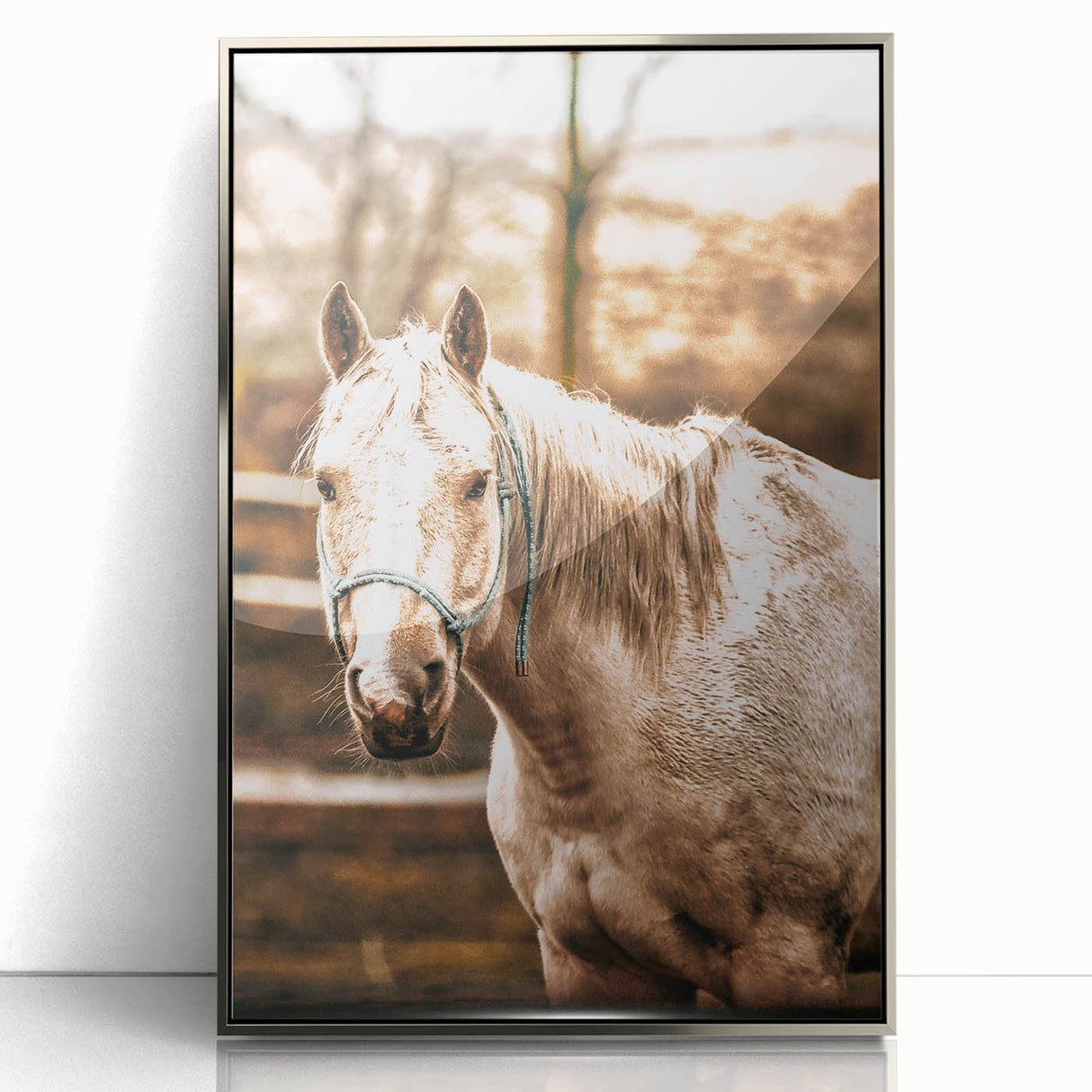 Vintage Farmhouse Wall Art - Majestic Horse in Rustic Country Scene