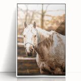 Vintage Farmhouse Wall Art - Majestic Horse in Rustic Country Scene