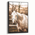 Vintage Farmhouse Wall Art - Majestic Horse in Rustic Country Scene