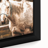 Vintage Farmhouse Wall Art - Majestic Horse in Rustic Country Scene