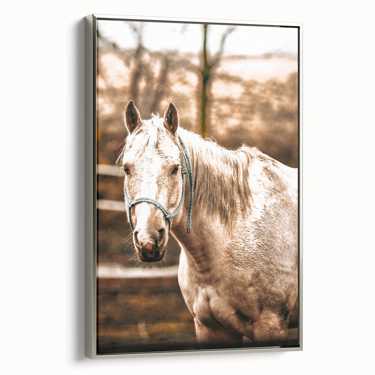 Vintage Farmhouse Wall Art - Majestic Horse in Rustic Country Scene