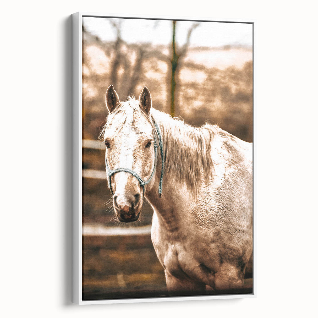 Vintage Farmhouse Wall Art - Majestic Horse in Rustic Country Scene