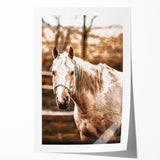 Vintage Farmhouse Wall Art - Majestic Horse in Rustic Country Scene
