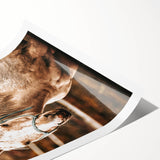 Vintage Farmhouse Wall Art - Majestic Horse in Rustic Country Scene