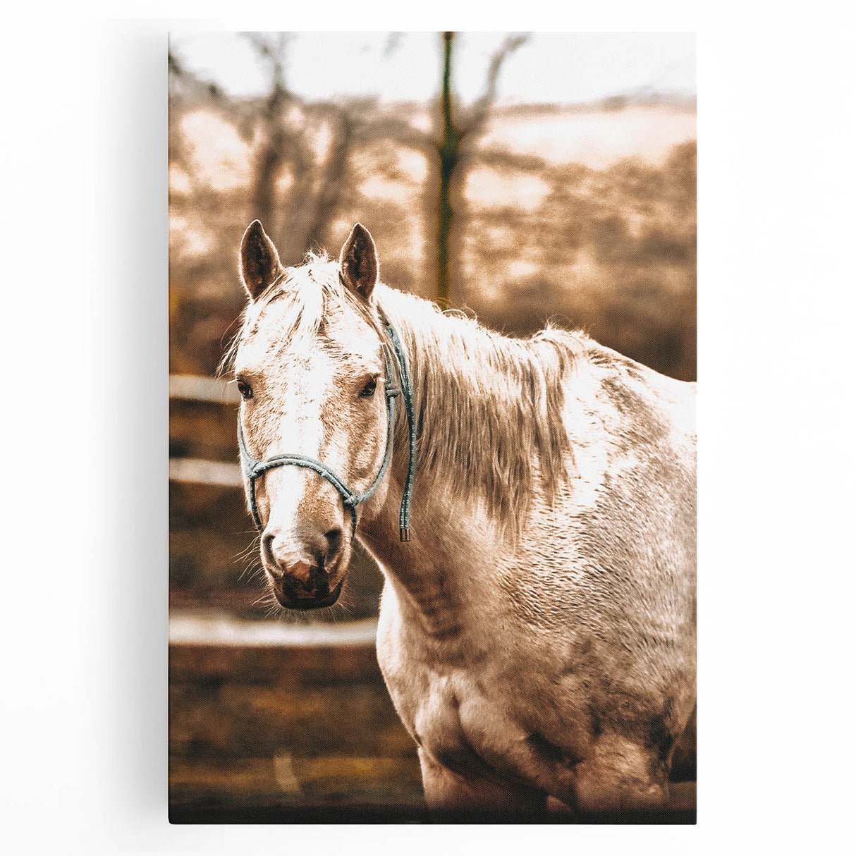 Vintage Farmhouse Wall Art - Majestic Horse in Rustic Country Scene