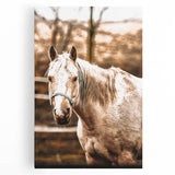 Vintage Farmhouse Wall Art - Majestic Horse in Rustic Country Scene