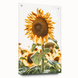 Farmhouse Wall Art - Vibrant Sunflower Print for Rustic Home Decor