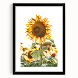 Farmhouse Wall Art - Vibrant Sunflower Print for Rustic Home Decor