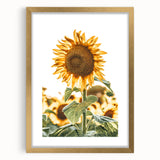 Farmhouse Wall Art - Vibrant Sunflower Print for Rustic Home Decor