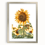 Farmhouse Wall Art - Vibrant Sunflower Print for Rustic Home Decor