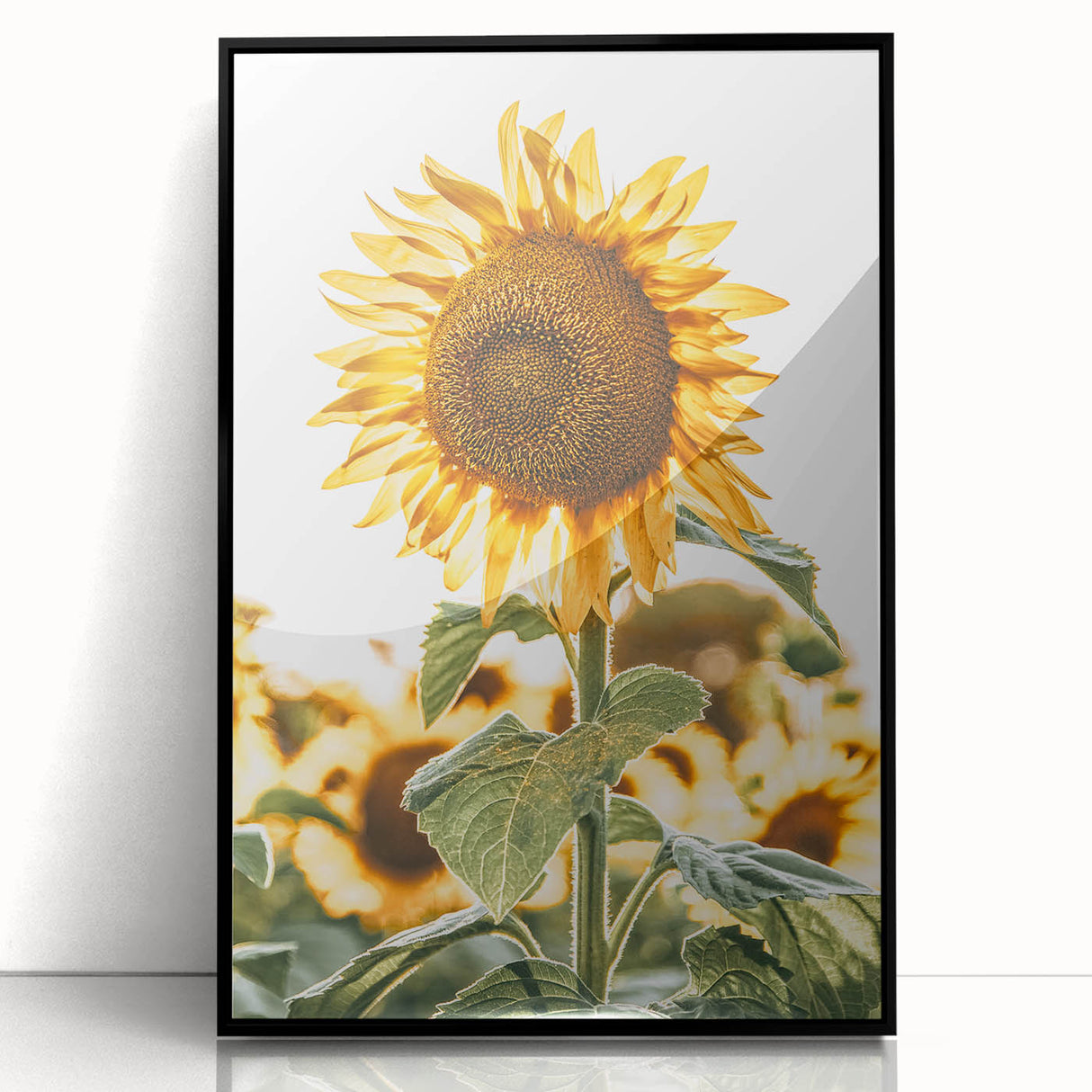 Farmhouse Wall Art - Vibrant Sunflower Print for Rustic Home Decor