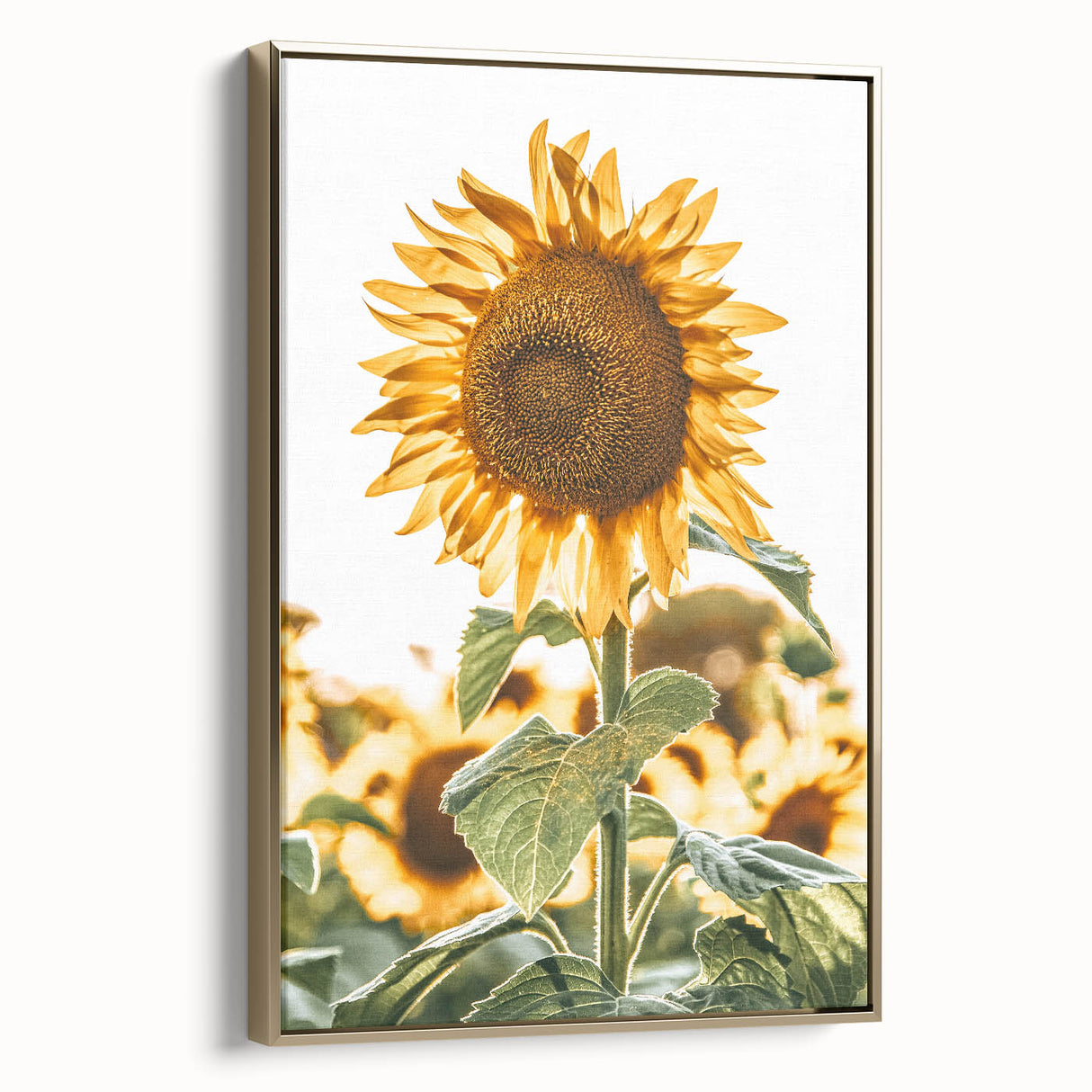 Farmhouse Wall Art - Vibrant Sunflower Print for Rustic Home Decor