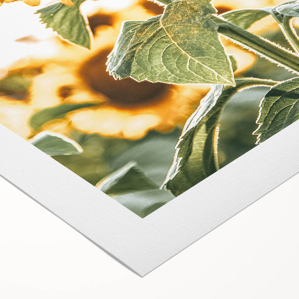 Farmhouse Wall Art - Vibrant Sunflower Print for Rustic Home Decor