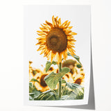 Farmhouse Wall Art - Vibrant Sunflower Print for Rustic Home Decor