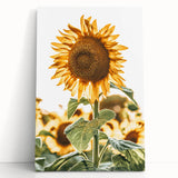 Farmhouse Wall Art - Vibrant Sunflower Print for Rustic Home Decor