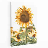 Farmhouse Wall Art - Vibrant Sunflower Print for Rustic Home Decor