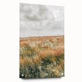 Farmhouse Wall Art - Tranquil Open Field with Soft Clouds Print