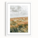 Farmhouse Wall Art - Tranquil Open Field with Soft Clouds Print