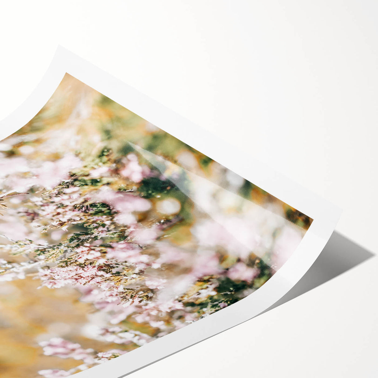 Farmhouse Wall Art - Soft Floral Meadow with Vintage Rustic Charm