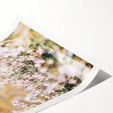 Farmhouse Wall Art - Soft Floral Meadow with Vintage Rustic Charm