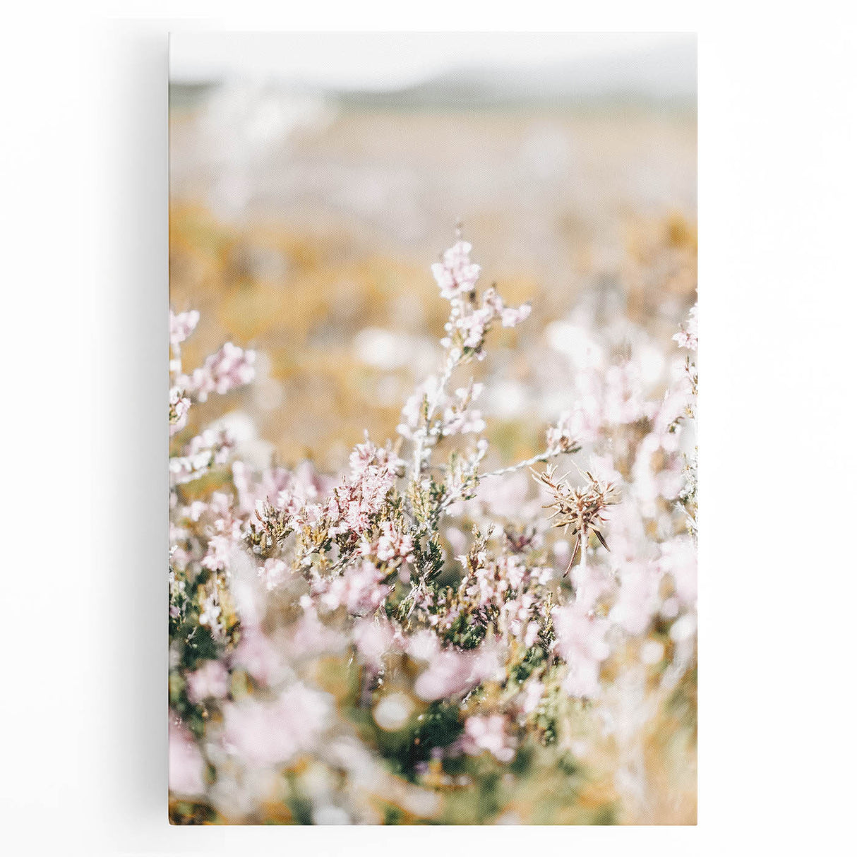 Farmhouse Wall Art - Soft Floral Meadow with Vintage Rustic Charm