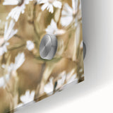 Farmhouse Wall Art - Soft White Daisies in Rustic Meadow Print