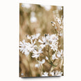 Farmhouse Wall Art - Soft White Daisies in Rustic Meadow Print