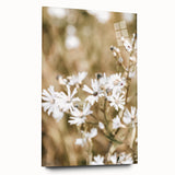 Farmhouse Wall Art - Soft White Daisies in Rustic Meadow Print