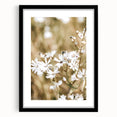 Farmhouse Wall Art - Soft White Daisies in Rustic Meadow Print