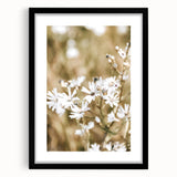 Farmhouse Wall Art - Soft White Daisies in Rustic Meadow Print