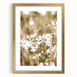 Farmhouse Wall Art - Soft White Daisies in Rustic Meadow Print