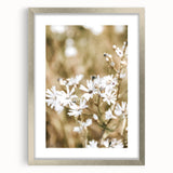 Farmhouse Wall Art - Soft White Daisies in Rustic Meadow Print