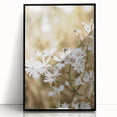 Farmhouse Wall Art - Soft White Daisies in Rustic Meadow Print
