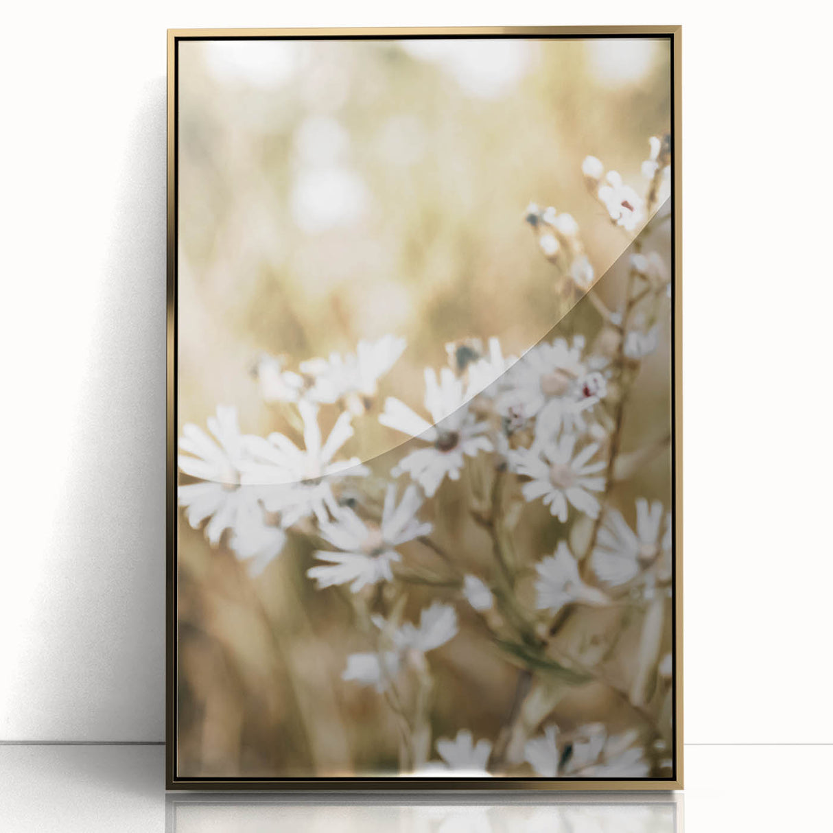 Farmhouse Wall Art - Soft White Daisies in Rustic Meadow Print
