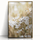 Farmhouse Wall Art - Soft White Daisies in Rustic Meadow Print