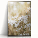 Farmhouse Wall Art - Soft White Daisies in Rustic Meadow Print