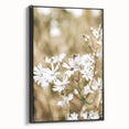 Farmhouse Wall Art - Soft White Daisies in Rustic Meadow Print
