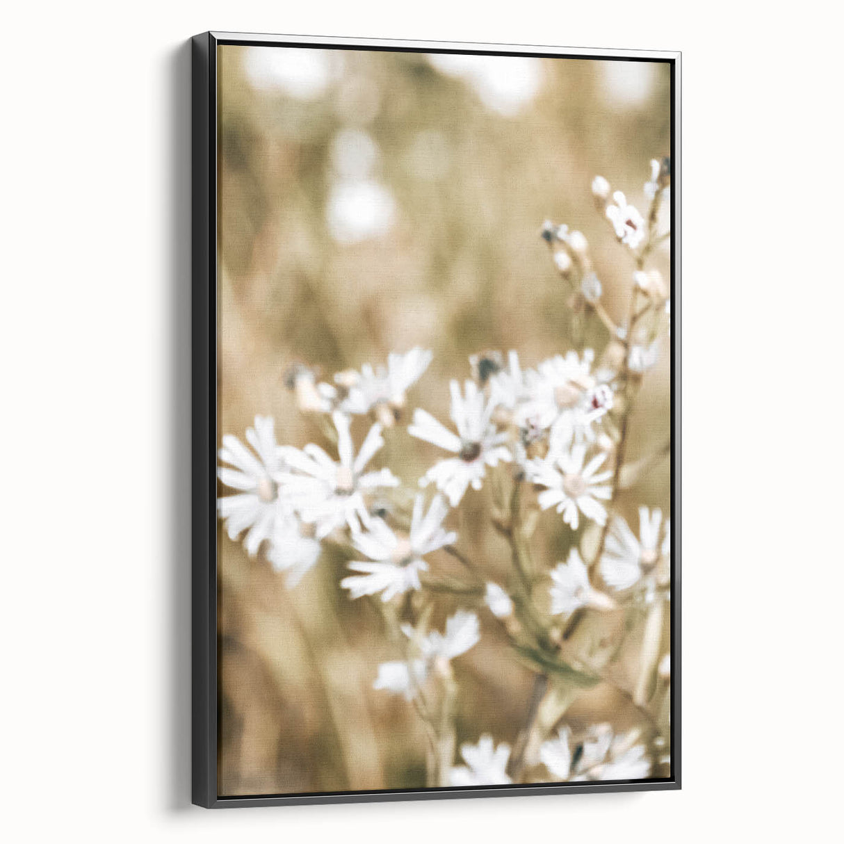 Farmhouse Wall Art - Soft White Daisies in Rustic Meadow Print