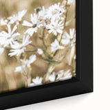 Farmhouse Wall Art - Soft White Daisies in Rustic Meadow Print