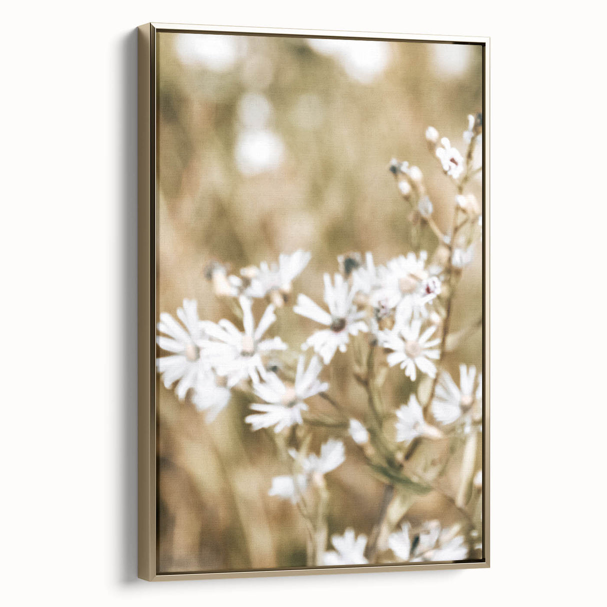 Farmhouse Wall Art - Soft White Daisies in Rustic Meadow Print