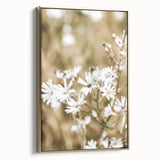 Farmhouse Wall Art - Soft White Daisies in Rustic Meadow Print